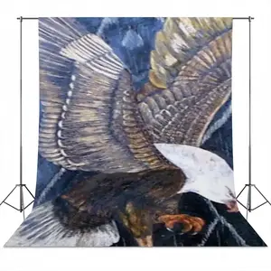 Eagle Scratch Photography Cloth