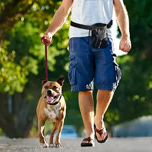 Walking Pet Training Package