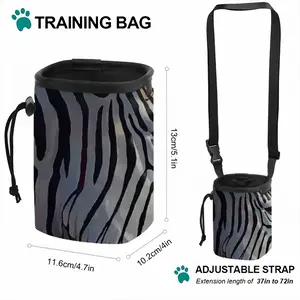 Dreamy Zebra Pet Training Package