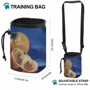 Persimmon Pet Training Package