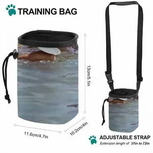 To The Sea Pet Training Package