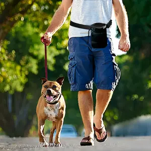 Traveling Pet Training Package