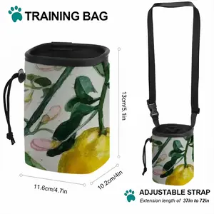 Lemon Branch Pet Training Package