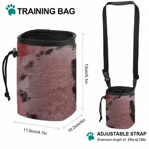 Untitled 2 Pet Training Package