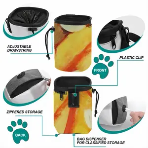 Color Game 2 Pet Training Package