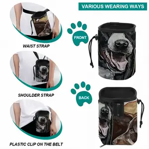 Barking Pet Training Package