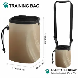 Sailboats J12 In Storm Pet Training Package