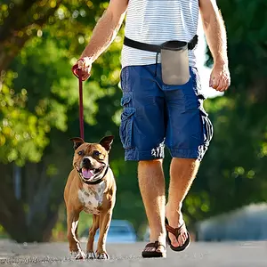 Beach With Three Visitors And A Pole Pet Training Package