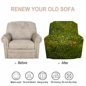 Cellular Universe B Single Person Sofa Cover