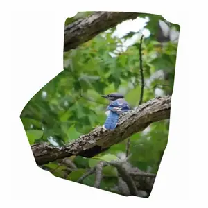 Blue Jay In A Tree - Classic Pose Single Person Sofa Cover