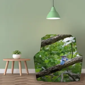 Blue Jay In A Tree - Classic Pose Single Person Sofa Cover