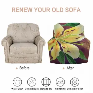 Lily In The Dark Single Person Sofa Cover