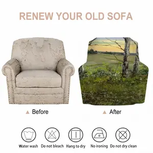 Birch Trees At Sunrise Single Person Sofa Cover