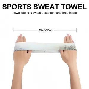 Megacity And Seagull Sports Sweatband