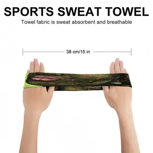 Arabica Woody Sports Sweatband