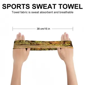 Famous Forest Trail Impasto Sports Sweatband