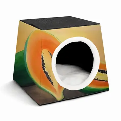 Papaya Freestyle Pet Kennel