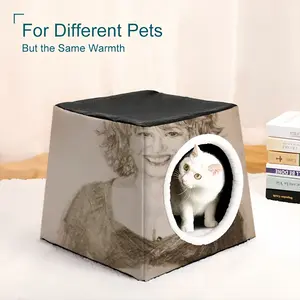 Joy Behar Pet Kennel