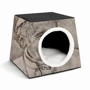 Pope Francis Portrait Pet Kennel