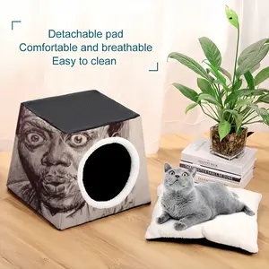 Bernie Mac Portrait Pet Kennel