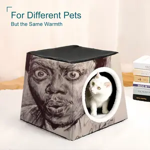 Bernie Mac Portrait Pet Kennel