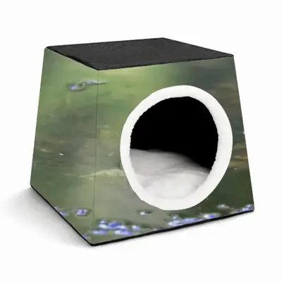 Green Frog - Staring Contest Pet Kennel