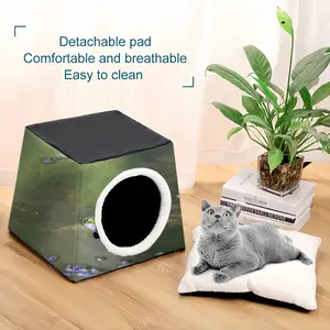 Green Frog - Staring Contest Pet Kennel