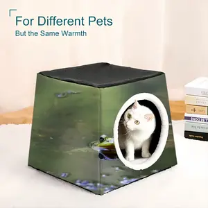 Green Frog - Staring Contest Pet Kennel