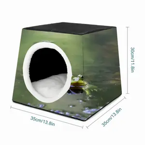 Green Frog - Staring Contest Pet Kennel