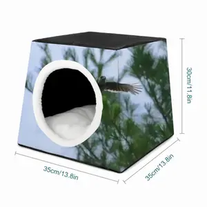 Blue Jay In Flight Pet Kennel