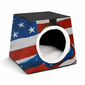 Aly Raisman Pet Kennel