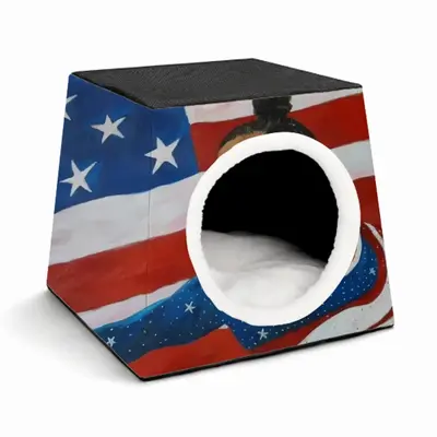 Aly Raisman Pet Kennel