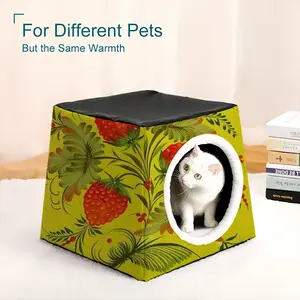 Raspberry Pet Kennel