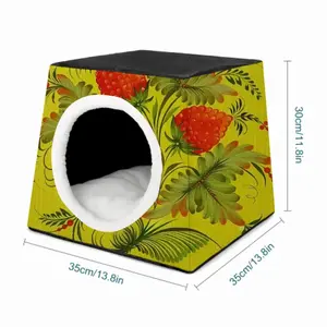 Raspberry Pet Kennel