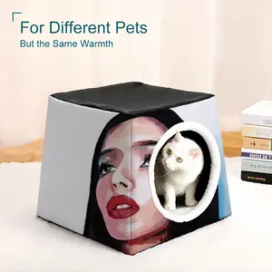 Inner Voice Pet Kennel