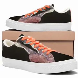 Men Rainbow Dust Low Top Canvas Shoes