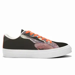 Men Rainbow Dust Low Top Canvas Shoes