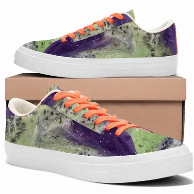 Men Northern Lights Low Top Canvas Shoes