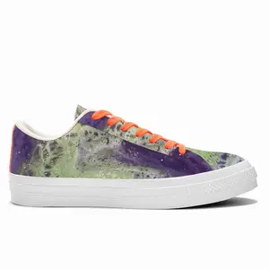 Men Northern Lights Low Top Canvas Shoes