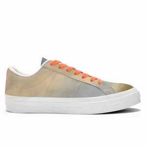 Men Bright Days Ahead No2 Low Top Canvas Shoes