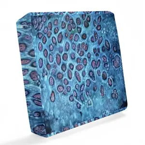 Love Your Cells Waterproof Sofa Cover