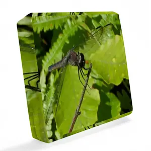 New Hampshire Dragon Fly Waterproof Sofa Cover