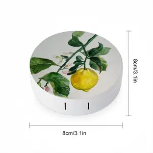 Lemon Branch Contact Lens Case