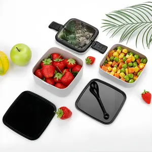 Master Double Layer Bento Box