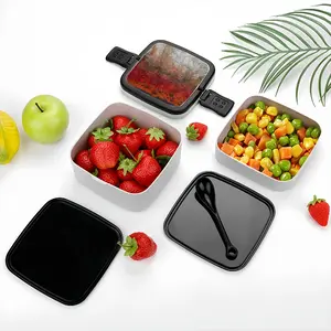 Convection Double Layer Bento Box