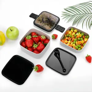 Newland Double Layer Bento Box