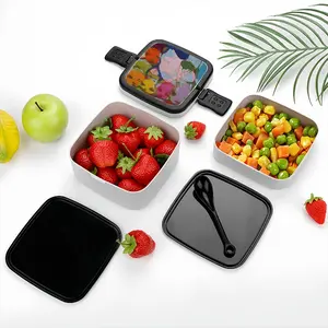 Indoor Mountain Double Layer Bento Box