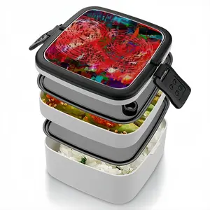 Whirlwind Double Layer Bento Box