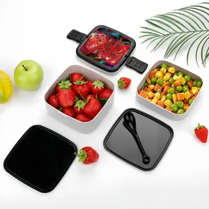 Whirlwind Double Layer Bento Box