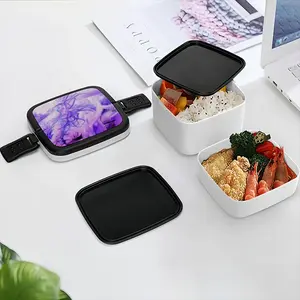 Feeric Double Layer Bento Box